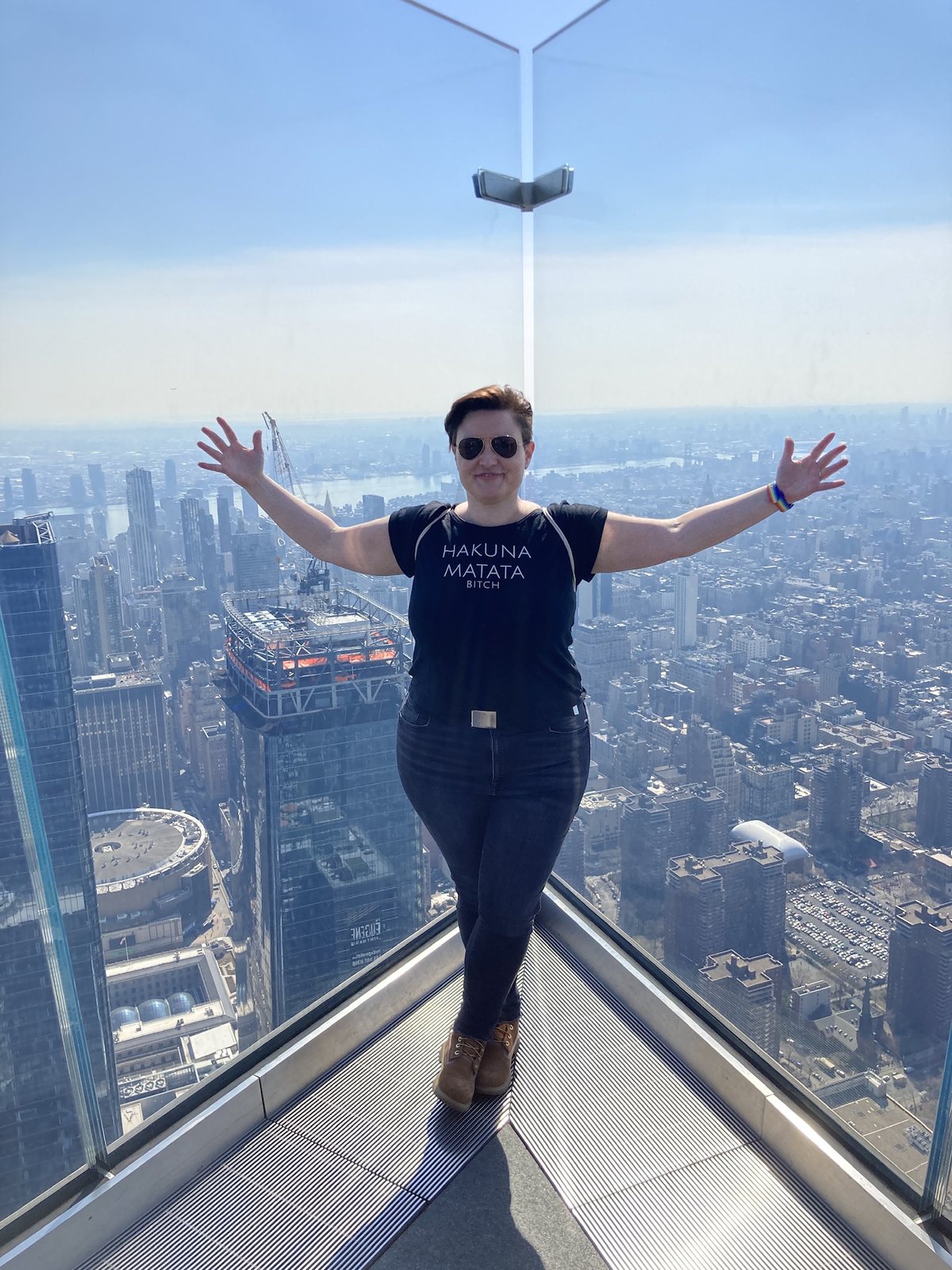 Über den Dächern von NYC